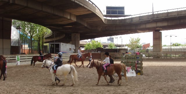 Riding lessons at Westway Stables, one of the many community facilities that now use the space under the elevated road
