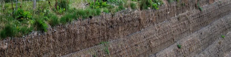 The near vertical face of the unusual earth embankments. Click to enlarge