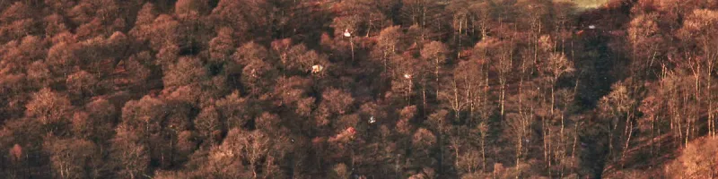 Just visible in the trees, a cluster of tents suspended from the branches. Click to enlarge