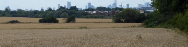 Looking west from the A1112 Romford Road towards the City and Docklands. The M12 would have filled this view, approaching from the far distance. Click to enlarge
