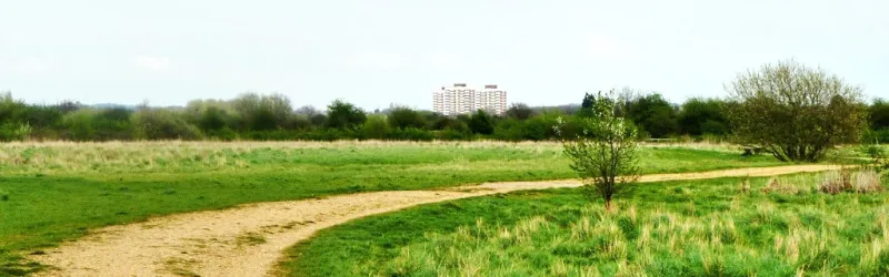 Open space in the Dagenham Corridor, now protected as parkland. Click to enlarge