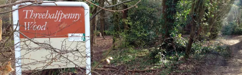 Threehalfpenny Wood in West Wickham, a public park made out of land originally set aside for Parkway E. Click to enlarge