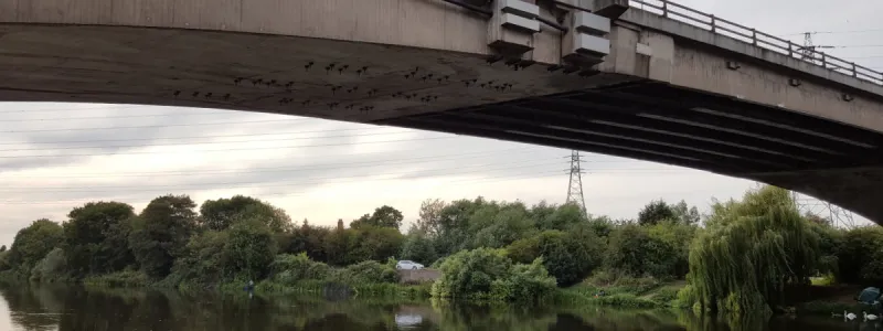 The western A52 Clifton Bridge as seen from the river bank. Click to enlarge