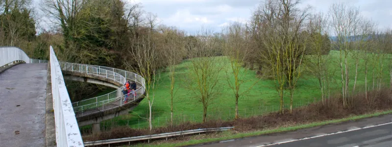 Tring Park's avenue, rudely interrupted by the former A41(M) and a footbridge at the wrong angle. Click to enlarge