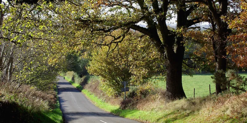 It's nice round here: Camp Hill Road, Staffordshire, close to the proposed Western Orbital, and the sort of view that locals do not want disturbed by new motorways. Click to enlarge