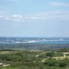 From Godlingston Heath, Poole Harbour is visible in its entirety. From here the narrow channel where the ferry operates is visible, with Bournemouth behind it and the grassy sand dunes hiding the motor road in the foreground.
