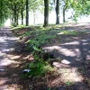 The footpath isn't quite all that remains of the old A574 here. The road surface wasn't entirely removed, and the trees are now slowly lifting this large block of tarmac out of the ground!
