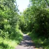 Back on the original line, the path's right-hand edge is still formed with the road's kerb stones. Putting pedestrians back down on the route of the old road is quite a dangerous piece of design - there's no lighting down here, and it's screened from the main road.