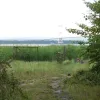 On the other side of the river at Aust, the terminal was not taken over by anybody else and has been slowly reclaimed by nature over the last 40-odd years.
