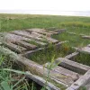 The shore is separated from the river itself by marshy ground, and the ferry was reached by a lengthy wooden pier. Most of it has now collapsed.