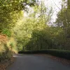 The A39 now has a steep wooded slope to the left, and a low wall to the right that prevents stray vehicles from dropping into the small river below. The road here isn't wide enough for centre line markings.