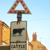 This picture shows a very rare pre-Worboys warning sign.  Photo by David Jones