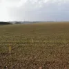 Looking north across the countryside, there's evidence that the next upgrade will be off-line: stakes stretch out ascross the field, eventually rejoining the motorway alignment slightly north of its present unusual terminus.