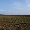 A view looking south, with more stakes marching across the hills.