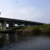 The best views of the Viaducts are, naturally, around their main spans across the Ship Canal. This is the view from the Trans-Pennine Trail, approaching the crossing from the east.